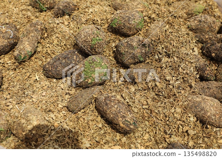 Grayish Green Dried Marijuana Buds for sell Grayish Green Dried Marijuana Buds for sell 135498820
