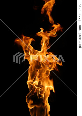 Fire flame isolated on black background Fire flame isolated on black background 135499249