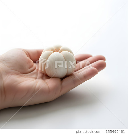 Mangosteen Fruit Aril Single on Hand Palm 135499461