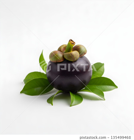 Mangosteen Fruit Whole with Leaves Composition 135499468