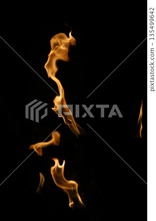 Fire flame isolated on black background Fire flame isolated on black background 135499642
