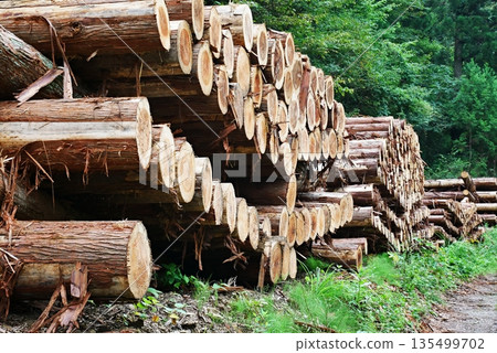 Japan's forest resources 135499702