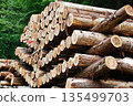 Japan's forest resources 135499703