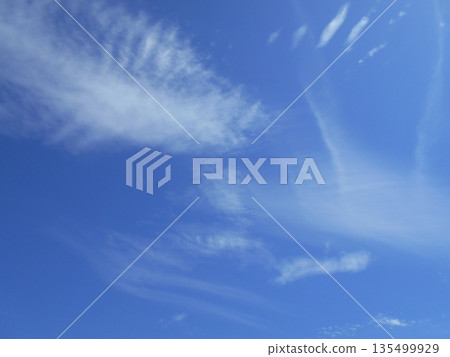 Thin white clouds floating in the blue sky 135499929