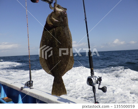 我去釣比目魚了。 135500059