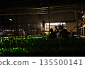 Beer Bottle In Factory 135500141