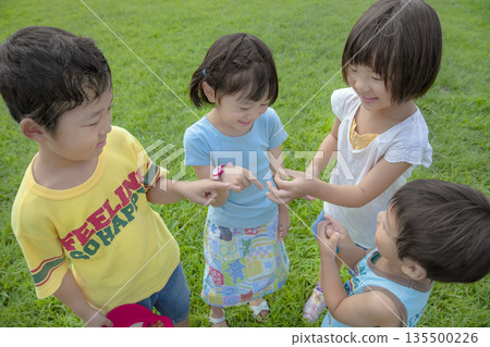 Children looking at grasshoppers they caught in the park 135500226