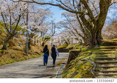 Nishiyama Park (Nishiyamaso) 135500487