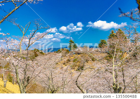 西山公園(西山公園) 西山公園(西山公園) 135500488