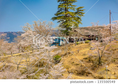 西山公園（西山公園） 135500549