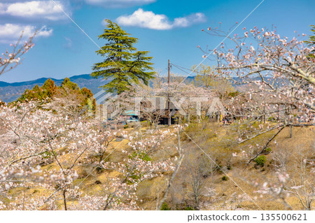 西山公園(西山公園) 西山公園(西山公園) 135500621