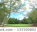 Lush green space scenery 135500802