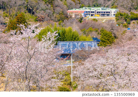 Nishiyama Park (Nishiyamaso area) Nishiyama Park (Nishiyamaso area) 135500969