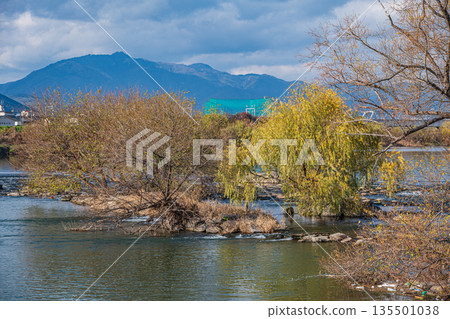 Winter scenery of the Katsura River, Kyoto City Winter scenery of the Katsura River, Kyoto City 135501038