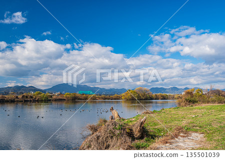 Winter scenery of the Katsura River, Kyoto City 135501039