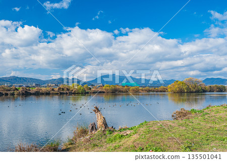 京都桂川的冬季景色 京都桂川的冬季景色 135501041