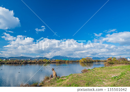 京都桂川的冬季景色 135501042