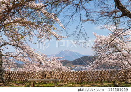 春天從彥根城眺望伊吹山，位於滋賀縣彥根市 135501069