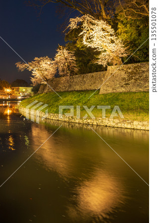 Hikone Castle in spring in Hikone City, Shiga Prefecture 135501078