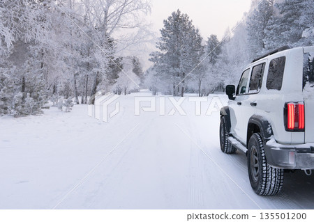 Driving on a snowy road surrounded by trees in a winter landscape with frost-covered branches and a light sky in the background during the day. High quality photo Driving on a snowy road surrounded by trees in a winter landscape with frost-covered branches and a light sky in the background during the day. High quality photo 135501200