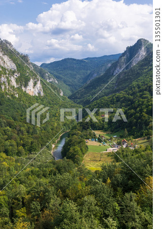 Vertical landscape photography of Tara river, Montenegro Vertical landscape photography of Tara river, Montenegro 135501301