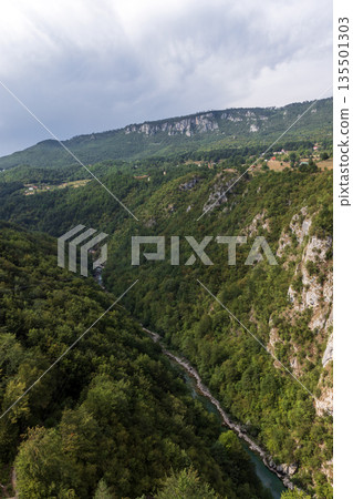 Montenegro, vertical landscape photo with Tara river 135501303