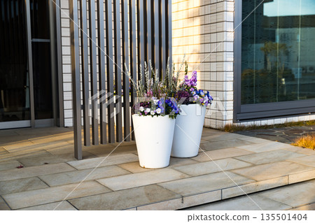 Flower planter on the entrance porch 135501404