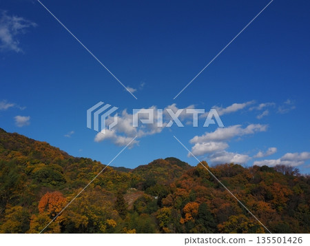 A mountain where the leaves have begun to change color 135501426