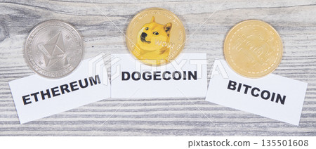 Cryptocurrency coins. International network payment. Finance concept Cryptocurrency coins. International network payment. Finance concept 135501608