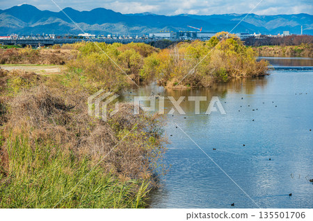 Winter scenery of the Katsura River, Kyoto City 135501706