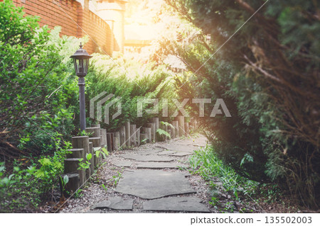 Beautiful landscape design, garden path in stone tiles, evergreen bushes, fir trees, blue spruces and shrubs in sunlight. Summer garden or park design. Flare effect Beautiful landscape design, garden path in stone tiles, evergreen bushes, fir trees, blue spruces and shrubs in sunlight. Summer garden or park design. Flare effect 135502003
