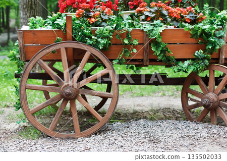 The cart with flowers. Scarlet red geranium flowerbed in retro styled old wooden wagon. Cranesbill in park landscape design, modern landscaping The cart with flowers. Scarlet red geranium flowerbed in retro styled old wooden wagon. Cranesbill in park landscape design, modern landscaping 135502033