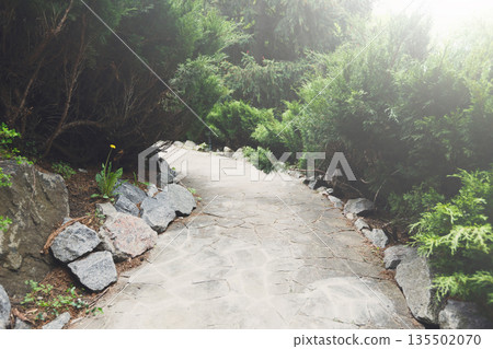 Beautiful landscape design, south resort park. Garden path in stone tiles, evergreen bushes, fir trees, blue spruces and shrubs in sunlight. Modern landscaping. Flare effect 135502070