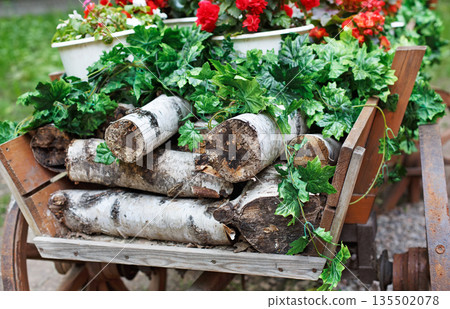 The cart with flowers. Scarlet red geranium flowerbed in retro styled old wooden wagon with birch firewood closeup. Cranesbill in park landscape design, modern landscaping 135502078