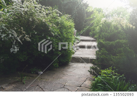 Beautiful landscape design, garden path with staircase in stone tiles, evergreen bushes, fir trees, blue spruces and shrubs in sunlight. Modern landscaping. Flare effect Beautiful landscape design, garden path with staircase in stone tiles, evergreen bushes, fir trees, blue spruces and shrubs in sunlight. Modern landscaping. Flare effect 135502093
