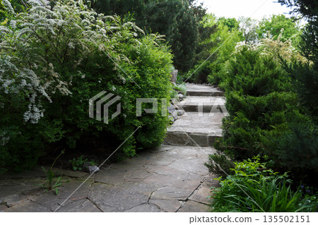 Beautiful landscape design, garden path with staircase in stone tiles, evergreen bushes, fir trees, blue spruces and shrubs in sunlight. Modern landscaping. Beautiful landscape design, garden path with staircase in stone tiles, evergreen bushes, fir trees, blue spruces and shrubs in sunlight. Modern landscaping. 135502151