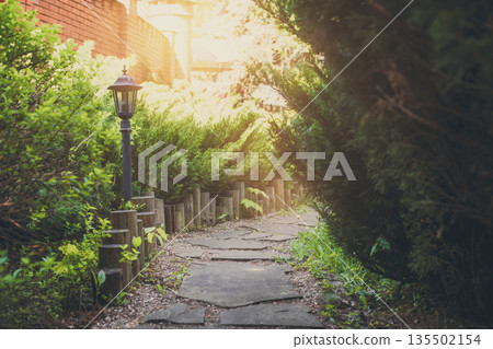 Beautiful landscape design, garden path with park light, wooden fence, evergreen bushes and shrubs in sunlight. Modern landscaping. Summer garden or park design. Beautiful landscape design, garden path with park light, wooden fence, evergreen bushes and shrubs in sunlight. Modern landscaping. Summer garden or park design. 135502154