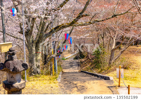 西山公園(西山莊附近) 西山公園(西山莊附近) 135502199