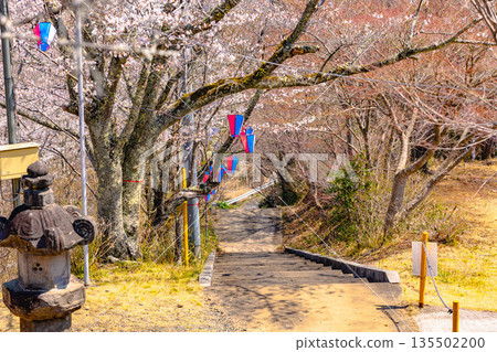 西山公園（西山莊附近） 135502200