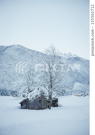 panoramic view of wooden house against mountains covered by snow panoramic view of wooden house against mountains covered by snow 135502712