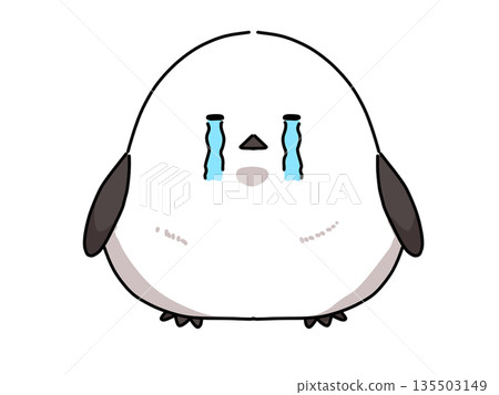 A long-tailed tit crying tears A long-tailed tit crying tears 135503149