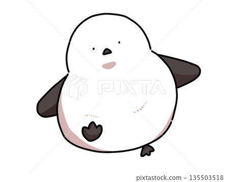 行走的長尾山雀 135503518