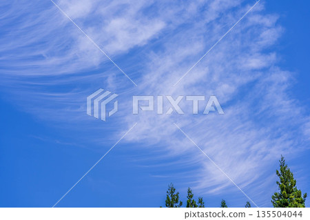 The last blue sky of June 135504044