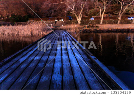 Beautiful Mount Fuji at dawn over Lake Tanuki in early winter 135504159