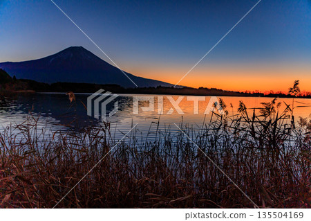 初冬時節，黎明時分，富士山在狸湖上空熠熠生輝，景色美不勝收。 135504169