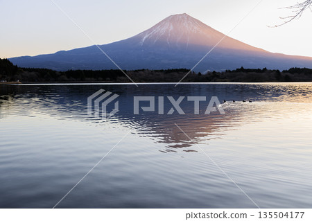 初冬時節,黎明時分,富士山在狸湖上空熠熠生輝,景色美不勝收。 初冬時節,黎明時分,富士山在狸湖上空熠熠生輝,景色美不勝收。 135504177