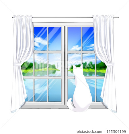 A cat watching the outside from the window 135504199