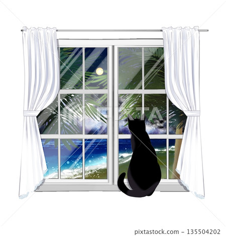 從窗口看外面的貓 從窗口看外面的貓 135504202