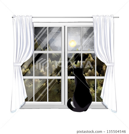 A cat watching the outside from the window 135504546