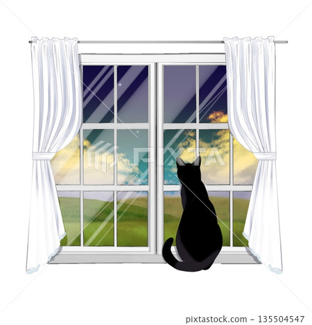 A cat watching the outside from the window 135504547